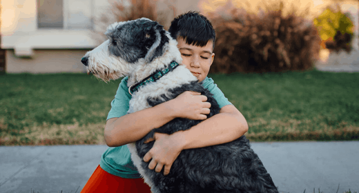Nutrición para perros de Razas Grandes y Gigantes 