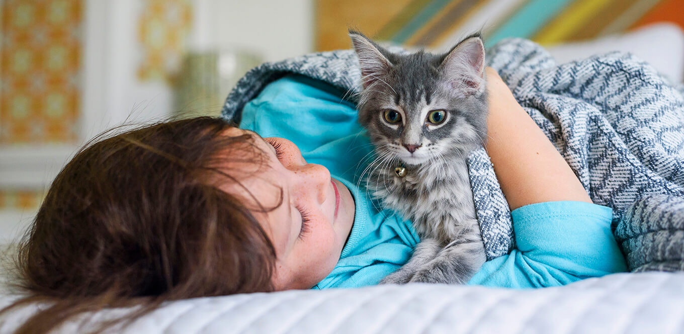5 Tips to Help Your Kitten Live a Long and Healthy Life