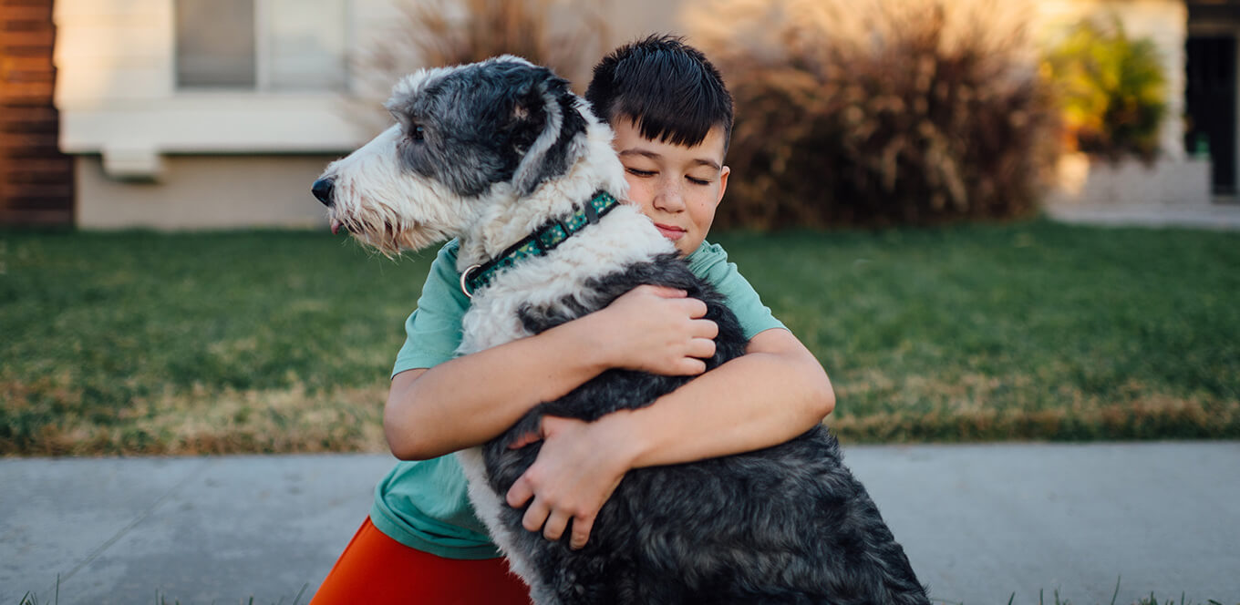 Nutrition for Large and Giant Breed Adult Dogs