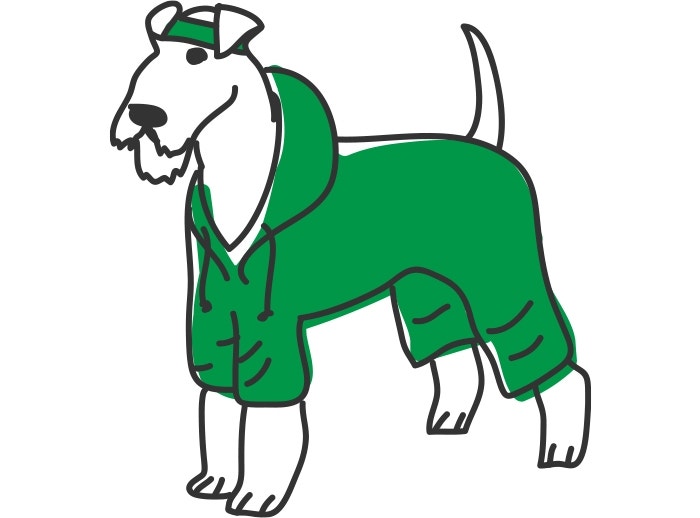 ¿Cuánto ejercicio necesita mi perro?