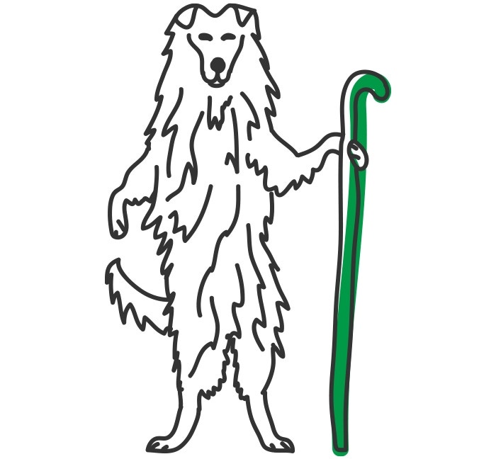 ¿Cuánto ejercicio necesita mi perro?