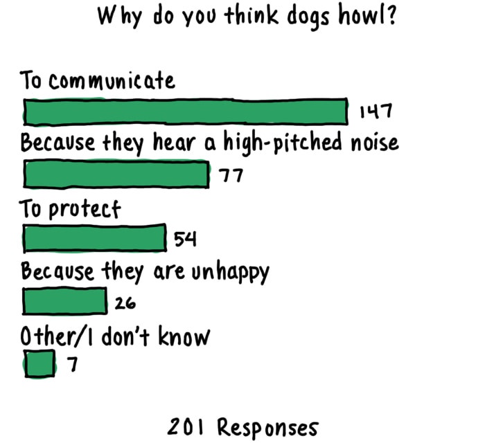  ¿Por qué los perros aúllan?