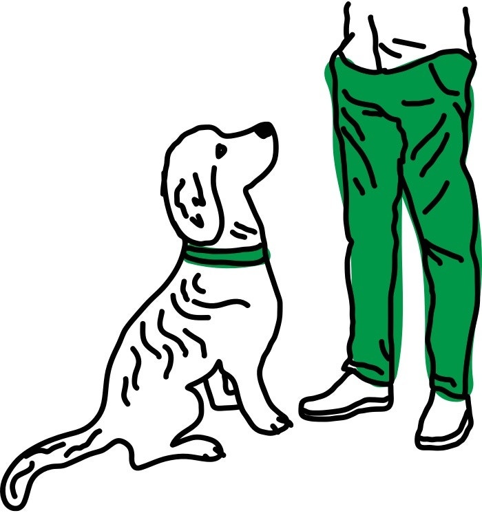 Consejos para Cuidar a Perros de raza grande