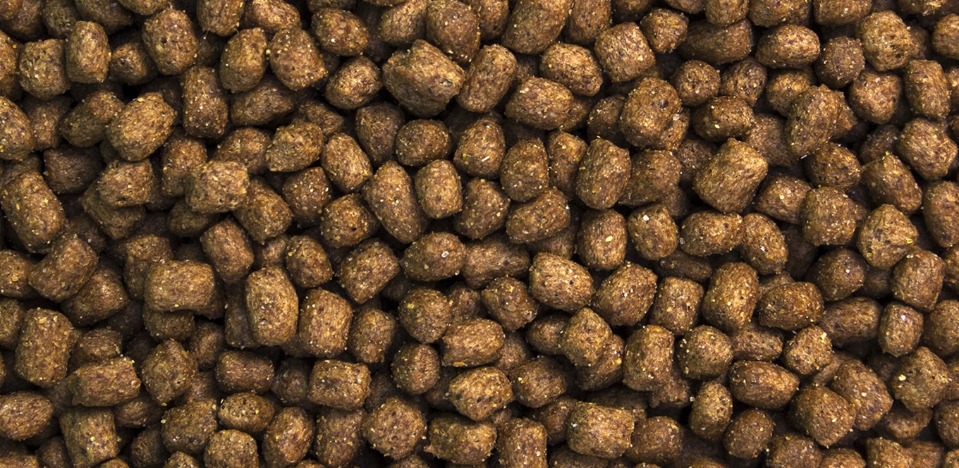 Nutrición para cachorros de raza mediana