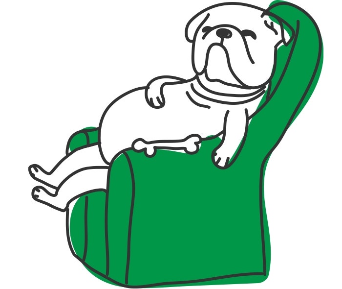 ¿Cuánto ejercicio necesita mi perro?