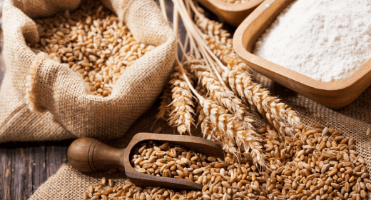 Cómo se utiliza el trigo en nuestros alimentos para gatos