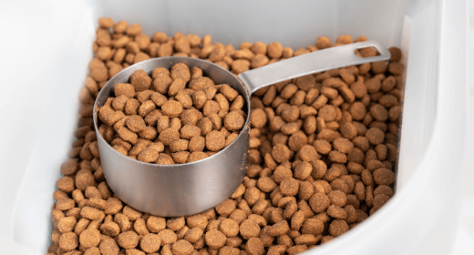 Cómo se utiliza el sodio en nuestros alimentos para gatos