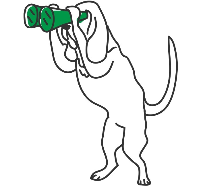 ¿Cuánto ejercicio necesita mi perro?