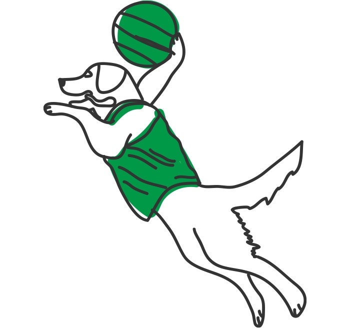 ¿Cuánto ejercicio necesita mi perro?