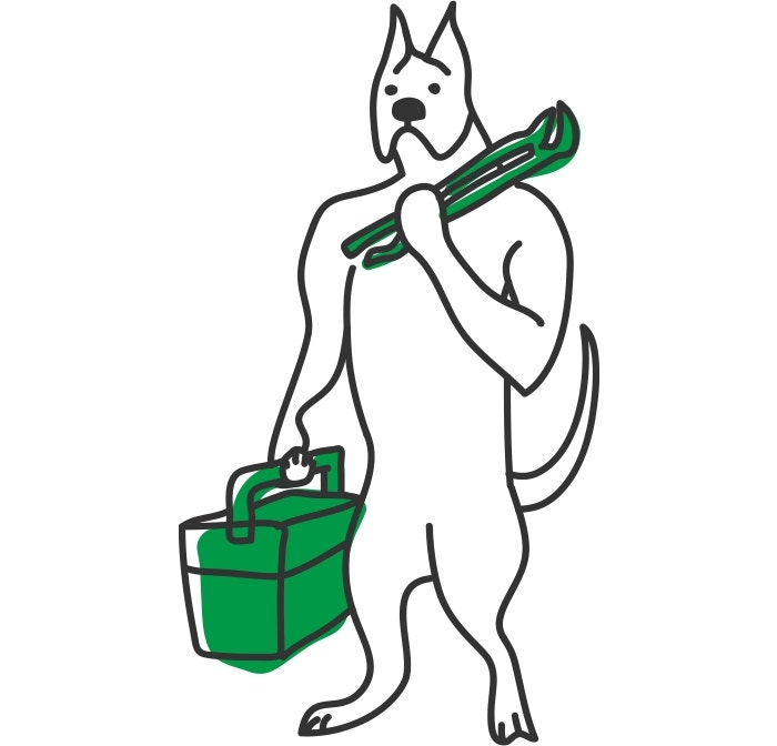 ¿Cuánto ejercicio necesita mi perro?