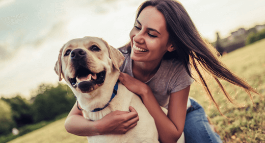 Cómo manejar el desprendimiento de pelo de su perro adulto