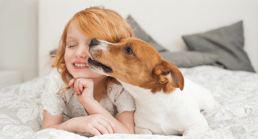 ¿Por qué los perros lamen a las personas?