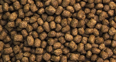 "Cuándo, por qué y cómo comenzar a alimentar a su cachorro con nutrición para adultos